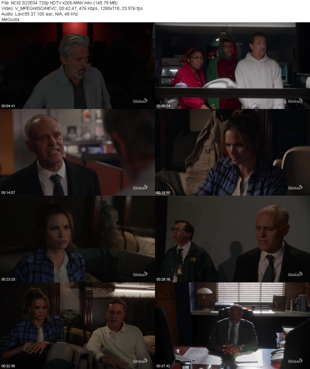 NCIS S22E04 720p HDTV x265-MiNX