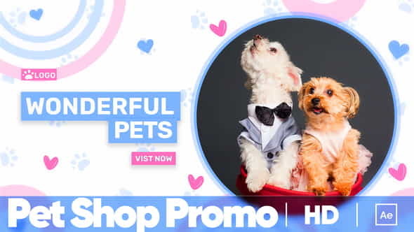 Pet Shop Promo - VideoHive 37783589