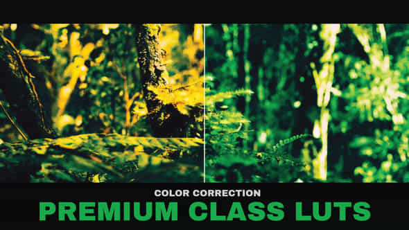 LUTs Premium Class - VideoHive 41936747