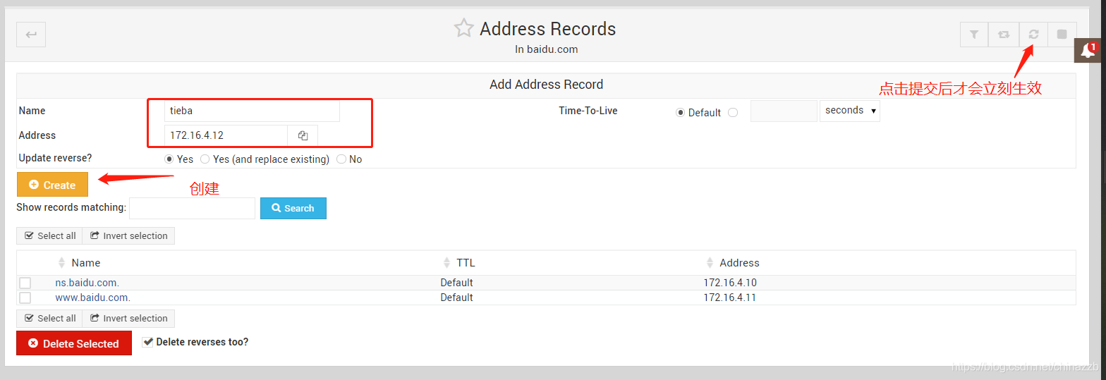 dns-address