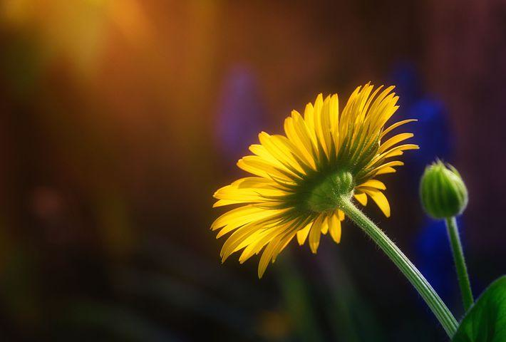 51a89ab6f8c7a7571c5b2e486c8279b2.png