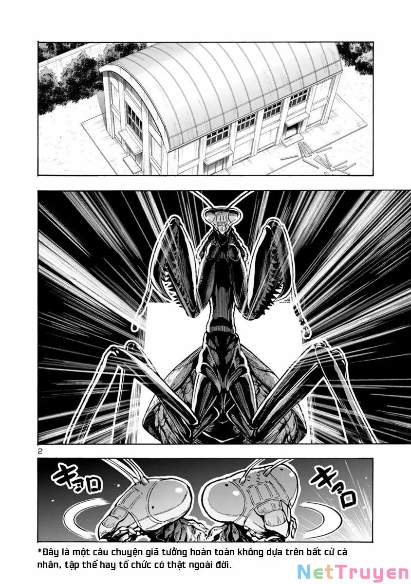 Đảo Côn Trùng Chap 43 . Next Chap 44