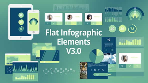 Flat Infographic Elements - VideoHive 8498708