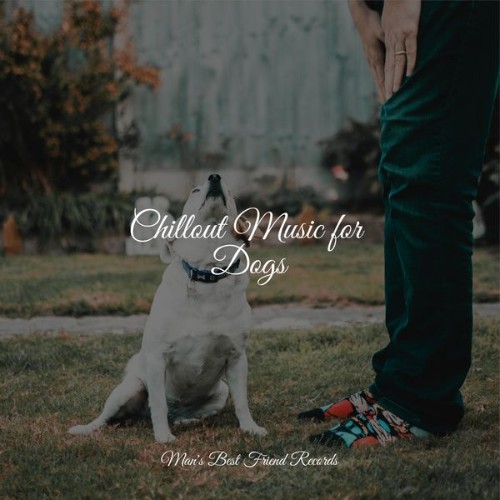 Calm Doggy - Chillout Music for Dogs - 2022