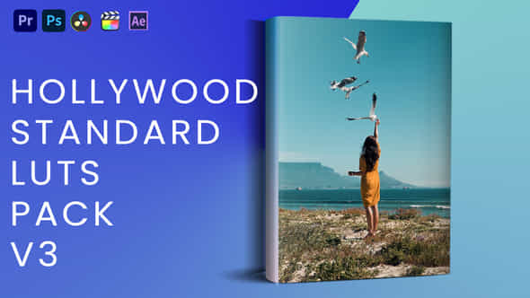 Hollywood Standard Luts - VideoHive 42902936