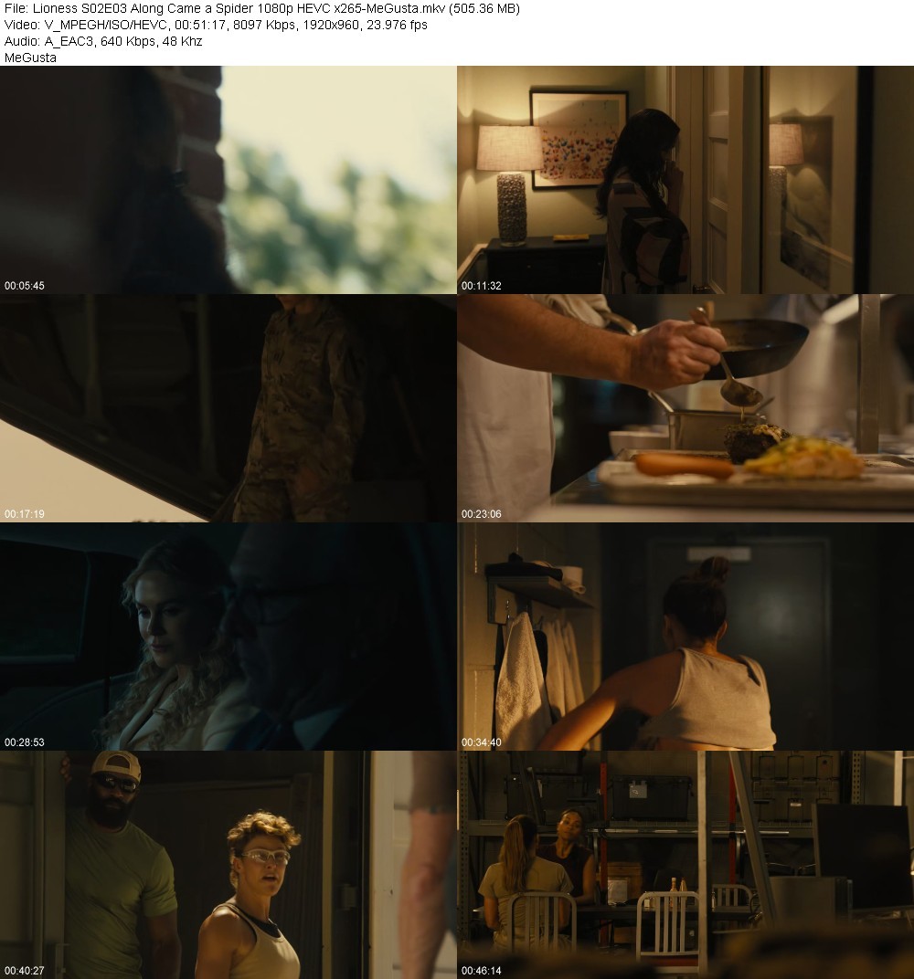 Lioness S02E03 Along Came a Spider 1080p HEVC x265-MeGusta