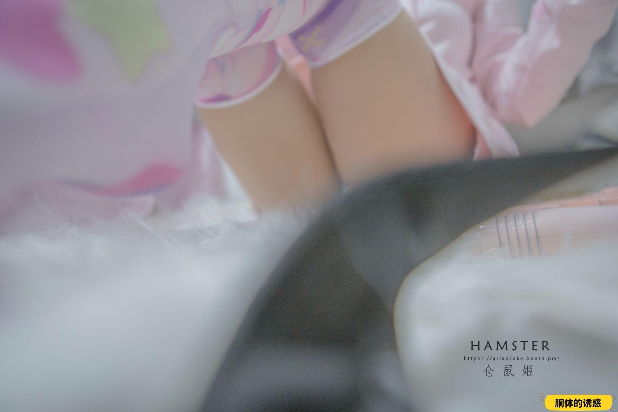 HAMSTERS 仓鼠姬 - NO.004 VOL.01 居家女友 [31P-138MB]