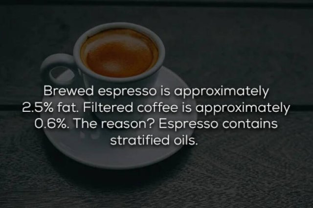 COFFEE FACTS Nyr8HBEj_o