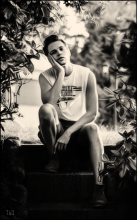 Noam Collins