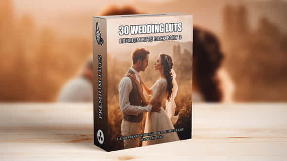 Top 30 Professional Cinematic Wedding Luts For Wedding Filmmakers Part 3 - VideoHive 49625580