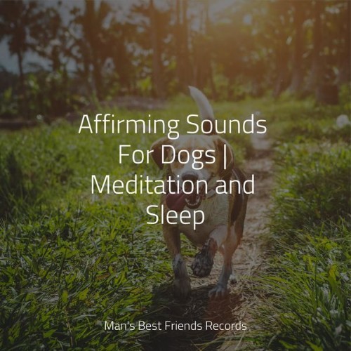 Relaxmydog - Affirming Sounds For Dogs  Meditation and Sleep - 2022