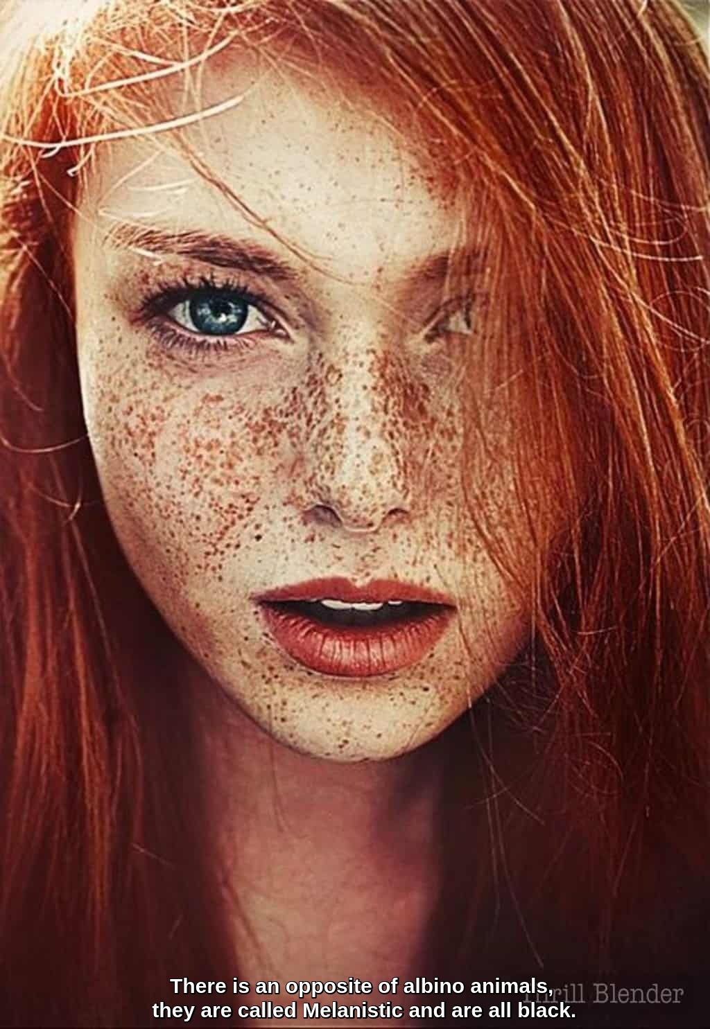 SEEING RED & FRECKLES...12 LGfhD83G_o