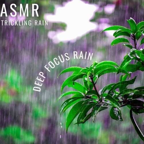 ASMR Trickling Rain - Deep Focus Rain - 2022