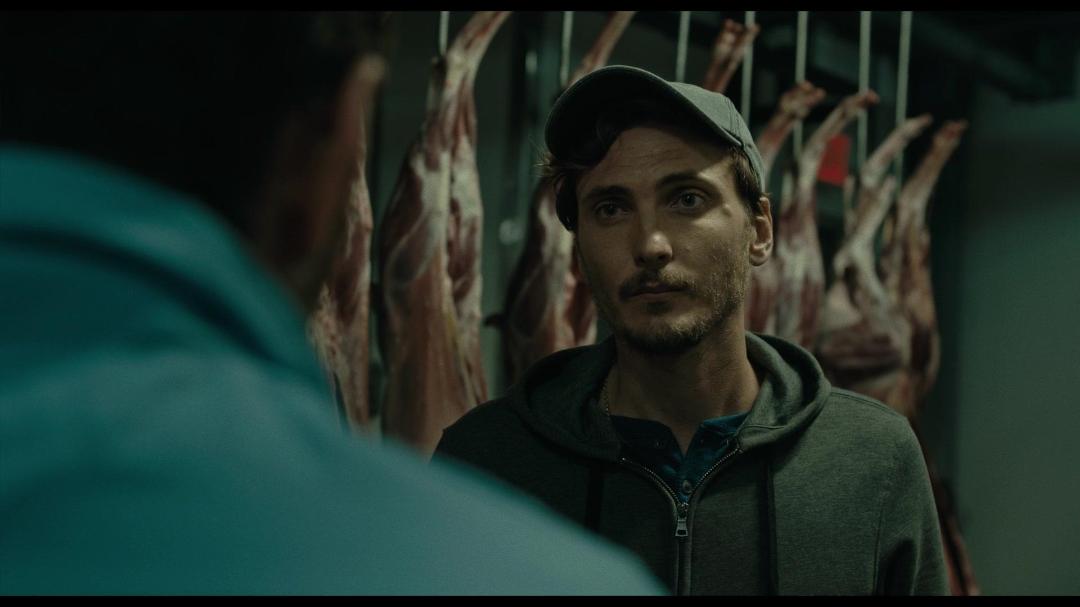 Lingua Franca 2019 1080p NF WEBRip DD5 1 x264-PTP Lingua Franca 2019 1080p NF WEBRip DD5 1 x264-PTP