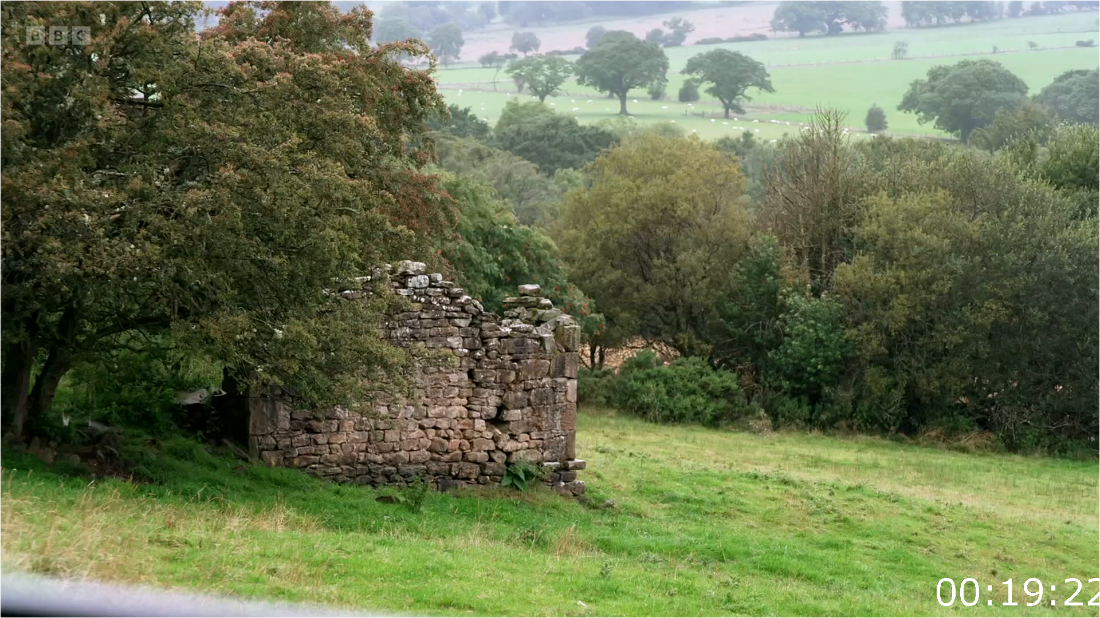 Antiques Road Trip S28E05 Treasures Of Scotland [1080p] WEBrip (x264) FbxsQgwu_o