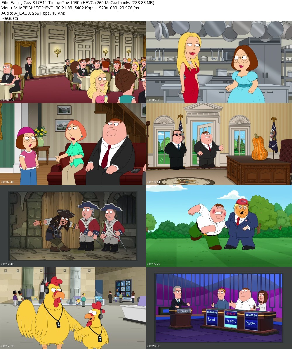 Family Guy S17E11 Trump Guy 1080p HEVC x265-MeGusta