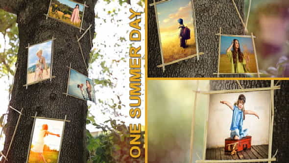 One Summer Day - VideoHive 8041948