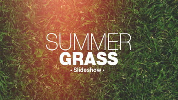 Grass Slideshow | - VideoHive 7022428