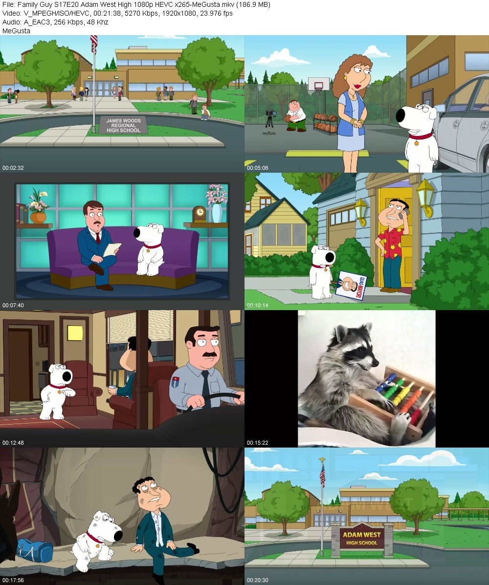 Family Guy S17E20 Adam West High 1080p HEVC x265-MeGusta