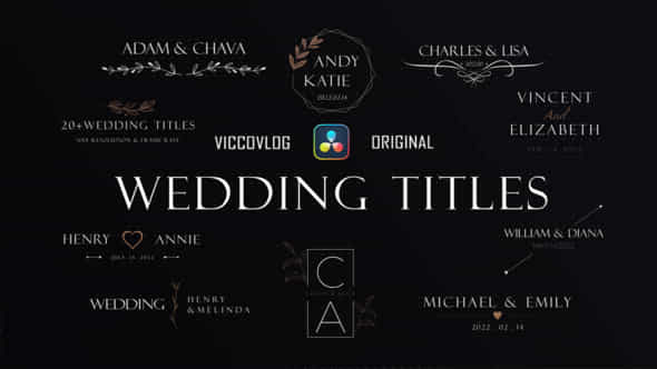 Wedding Titles Templates - VideoHive 49848867