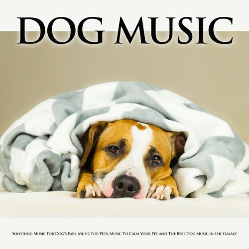 Dog Music - Dog Music Soothing Music For Dog's Ears, Music For Pets, Music To Calm Your Pet and T...