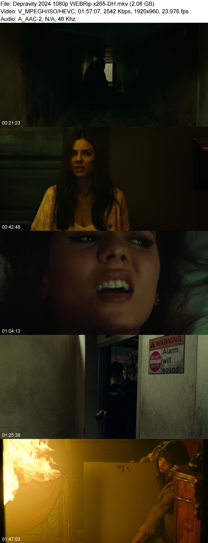 Depravity (2024) 1080p WEBRip x265-DH