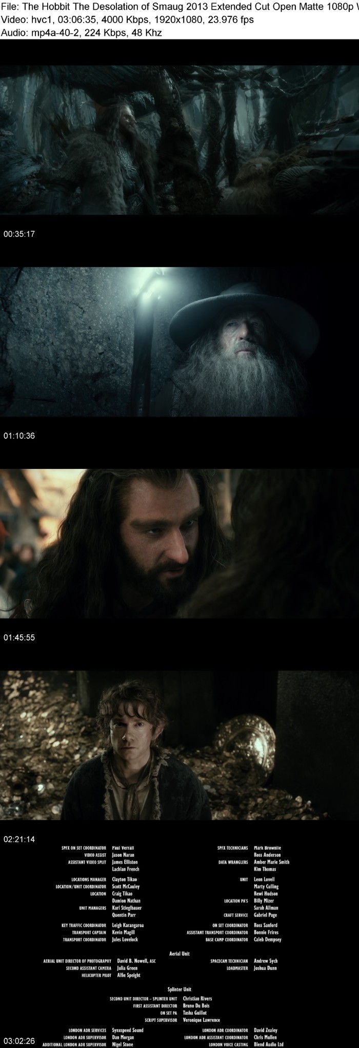 The Hobbit The Desolation of Smaug (2013) Extended Cut Open Matte 1080p WEBRip x265 10bit-KONTRAST Q0rRT5lQ_o