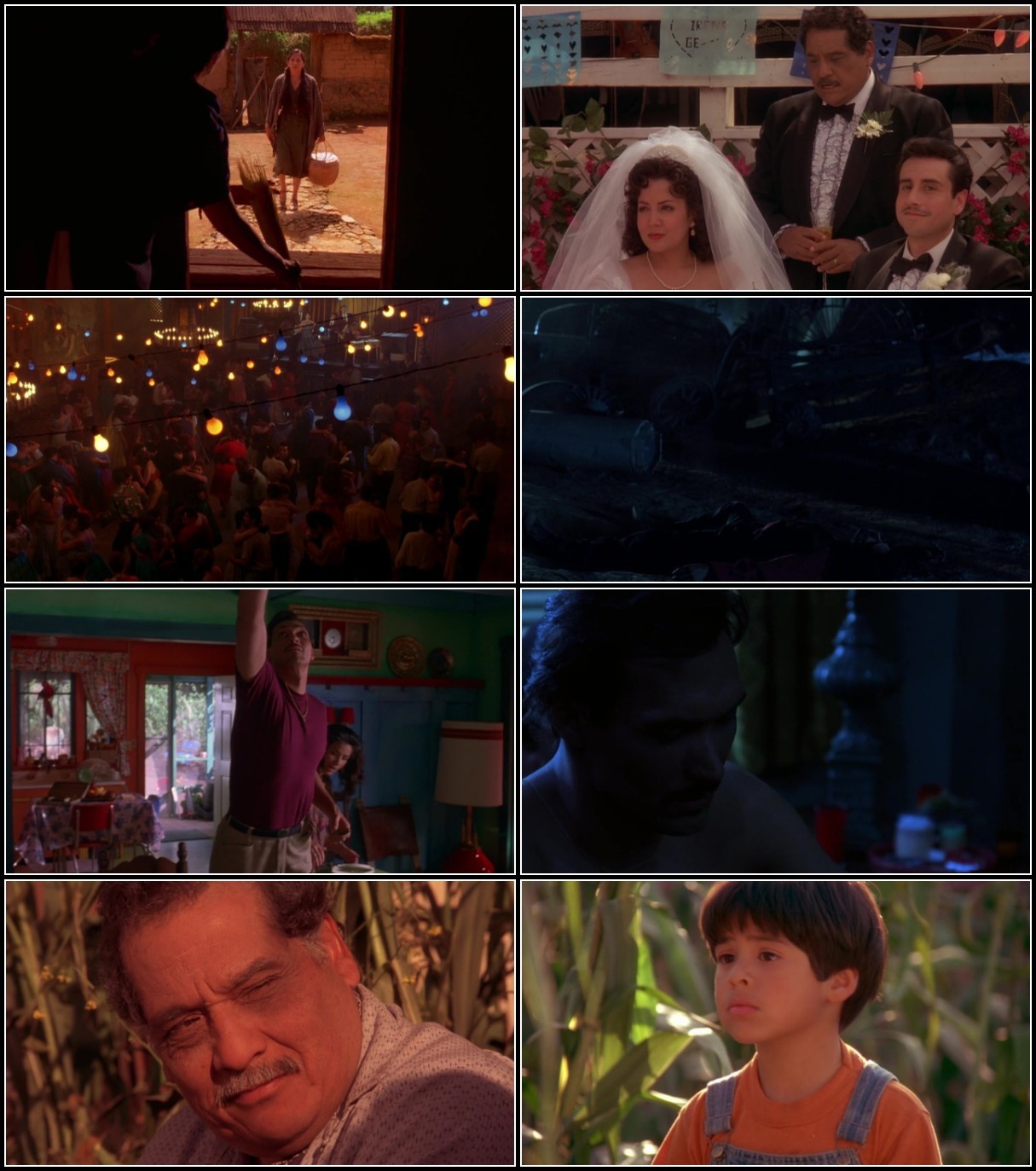 My Family Mi Familia (1995) 720p WEBRip-LAMA 7ln6MQQH_o