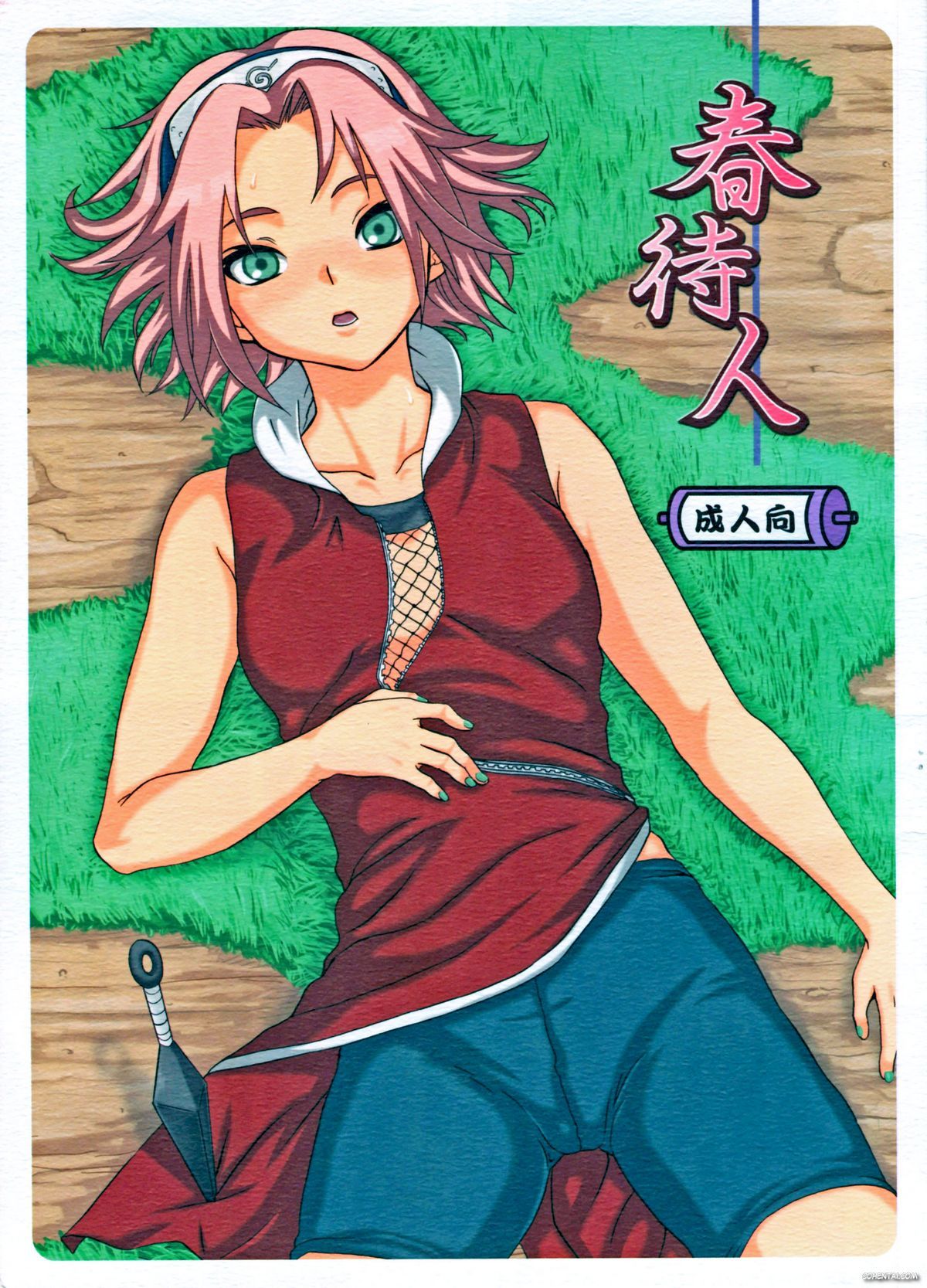 Haru Machibito (Naruto)