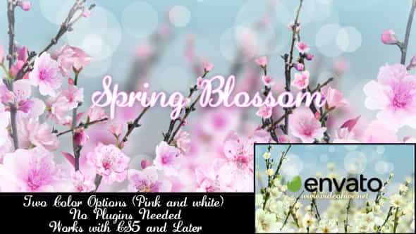 Spring Blossom - VideoHive 7133339