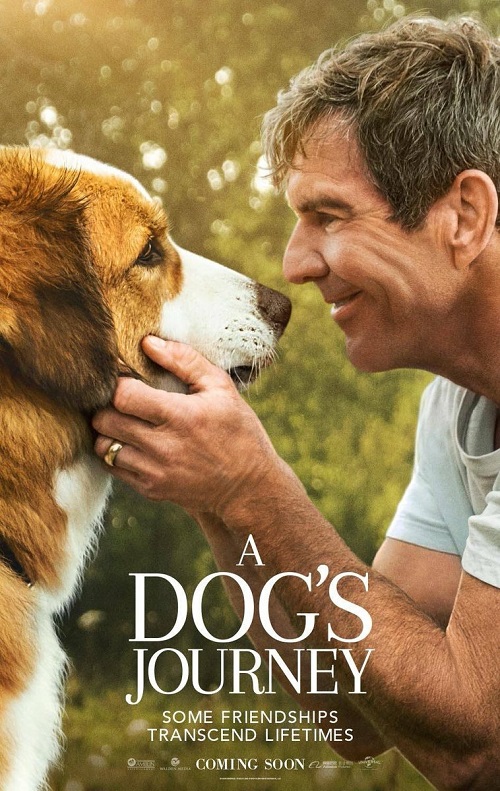 Był sobie pies 2 / A Dog's Journey (2019) MULTi.720p.BluRay.x264.AC3-DENDA / DUBBING i NAPISY PL