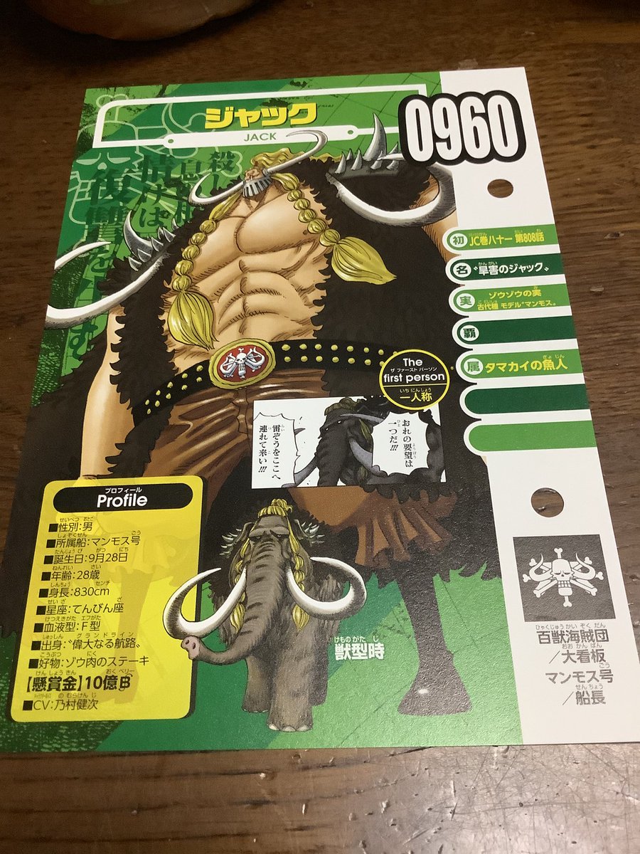 one piece collectible card game