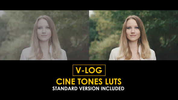 Vlog Cine Tones And Standard Color Luts - VideoHive 51303424