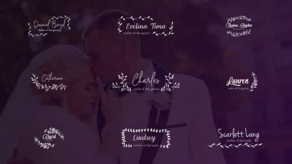 Wedding Titles and Lower Thirds - VideoHive 24656288