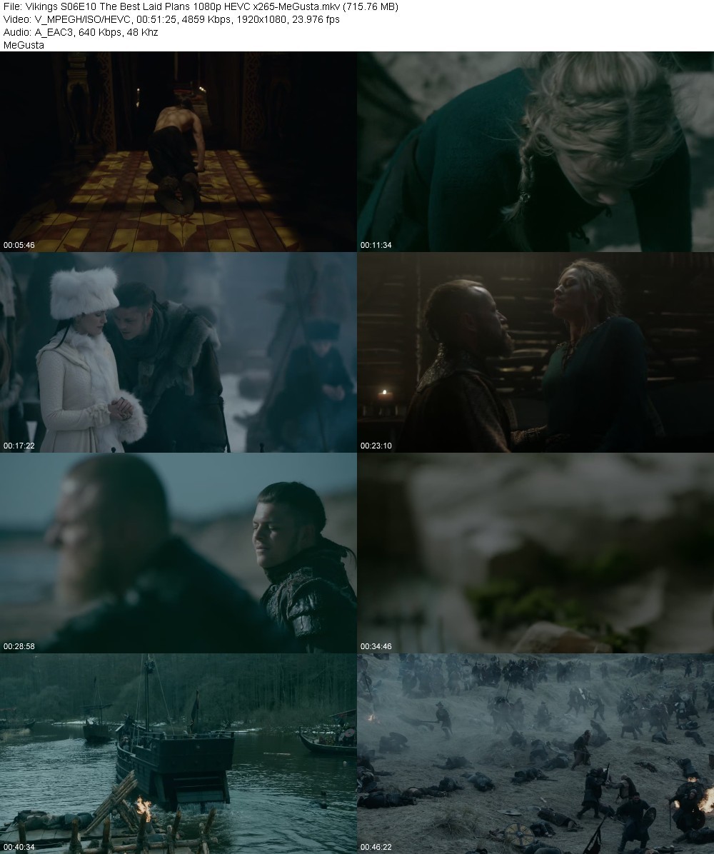 Vikings S06E10 The Best Laid Plans 1080p HEVC x265-MeGusta