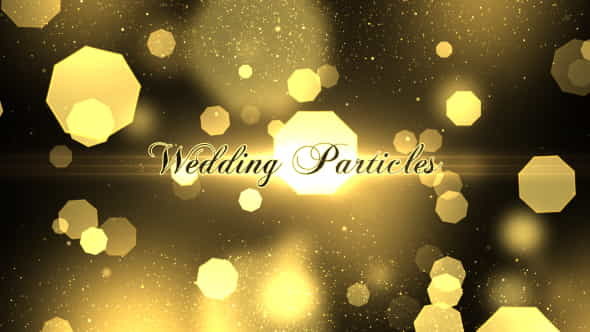 Wedding Particles Opener - VideoHive 14728826