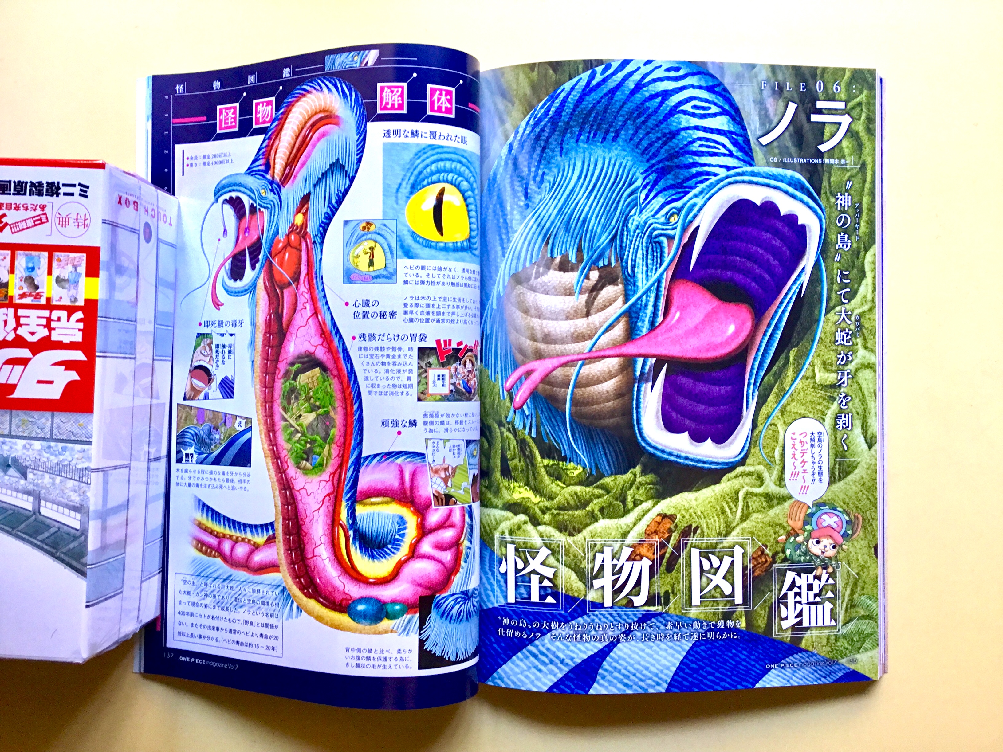 One Piece Magazine Page 5