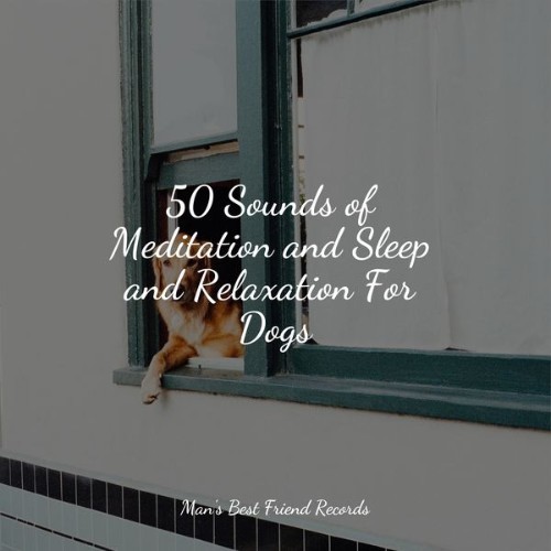 Relaxing Music for Dogs - 50 Sounds of Meditation and Sleep and Relaxation For Dogs - 2022