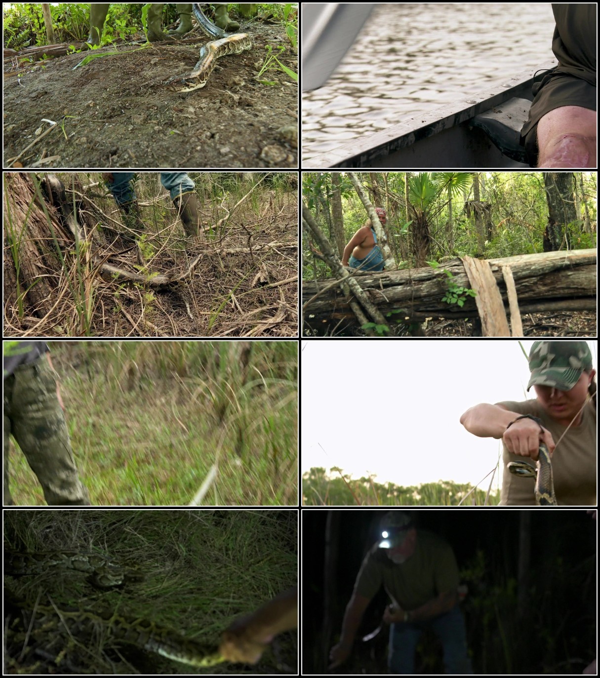 Swamp People Serpent Invasion S03E15 1080p WEB h264-EDITH Swamp People Serpent Invasion S03E15 1080p WEB h264-EDITH