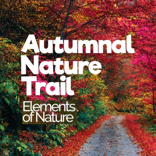 Elements of Nature - Autumnal Nature Trail - 2019