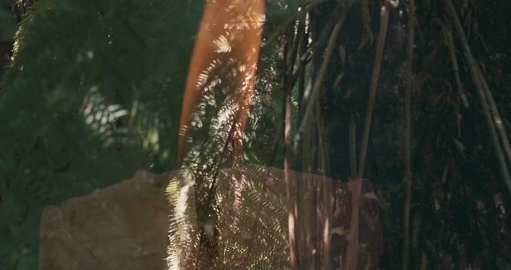 Disclosure 2020 HDRip XviD AC3-EVO Disclosure 2020 HDRip XviD AC3-EVO