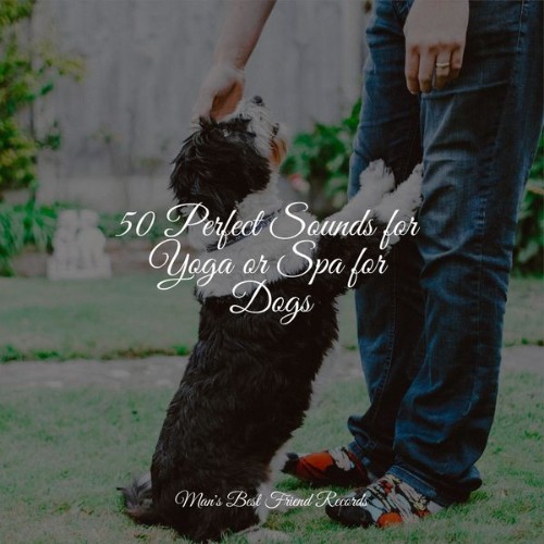 Music for Leaving Dogs Home Alone - 50 Perfect Sounds for Yoga or Spa for Dogs - 2022