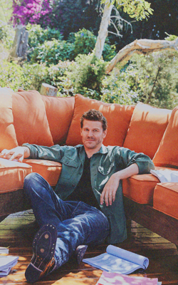 David Boreanaz KZITvqTm_o