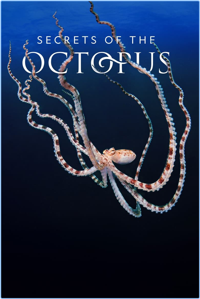 Secrets Of The Octopus S01[E01-E03] [1080p] (x265) [6 CH] Qi1knSNh_o