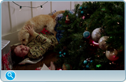 https//images2.imgbox.com//51/0pPNPefr_o.png