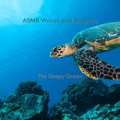 ASMR Waves and Seagulls - The Sleepy Ocean - 2022