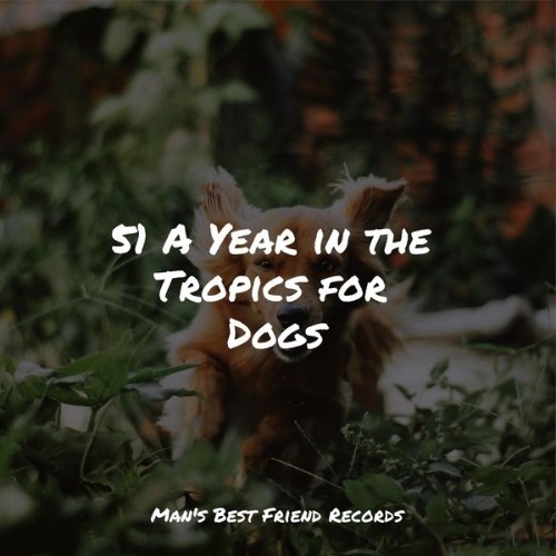 Music for Dogs Collective - 51 A Year in the Tropics for Dogs - 2022