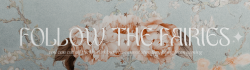 FOLLOW THE FAIRIES
