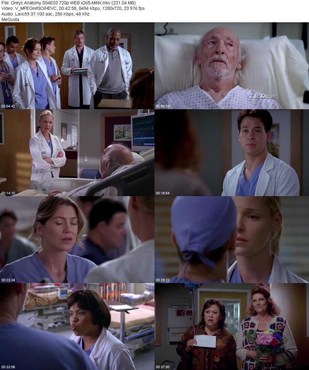 Greys Anatomy S04E03 720p WEB x265-MiNX