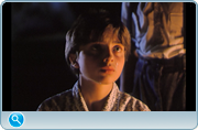 https//images2.imgbox.com//af/Cn5qHiry_o.png